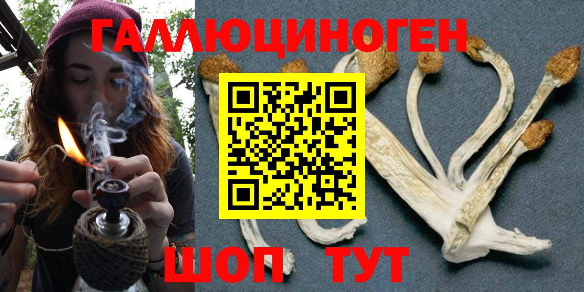 Галлюциногенные грибы прущие грибы Москва