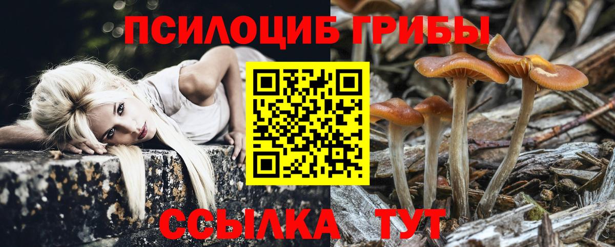 Москва  Псилоцибиновые грибы MAGIC MUSHROOMS  Вход с VPN 
